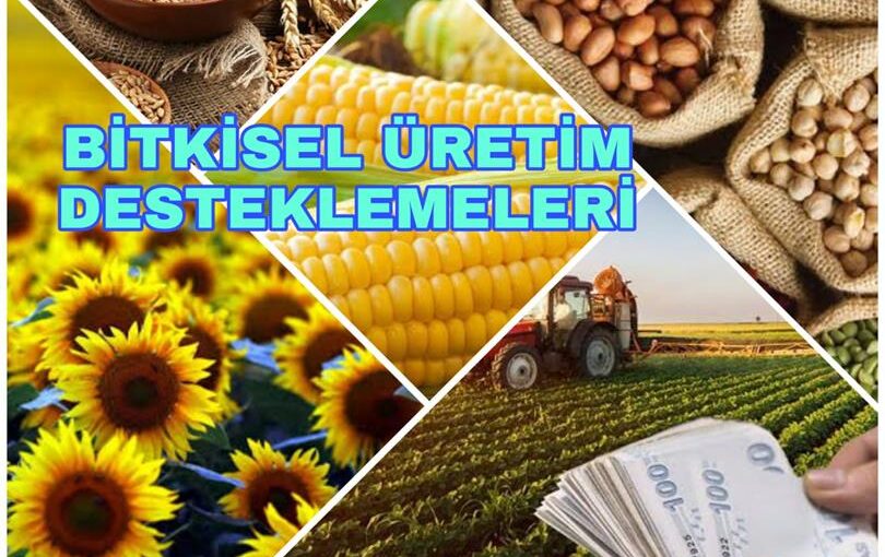 Bitkisel Üretim Tebliği: Hukuki Püf Noktalar ve Güncel Yorumlar [2026]